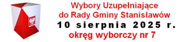 Wybory uzupełniające 2025