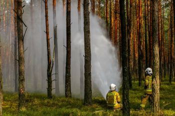 Ćwiczenia pk. "Ołdakowizna 2024"