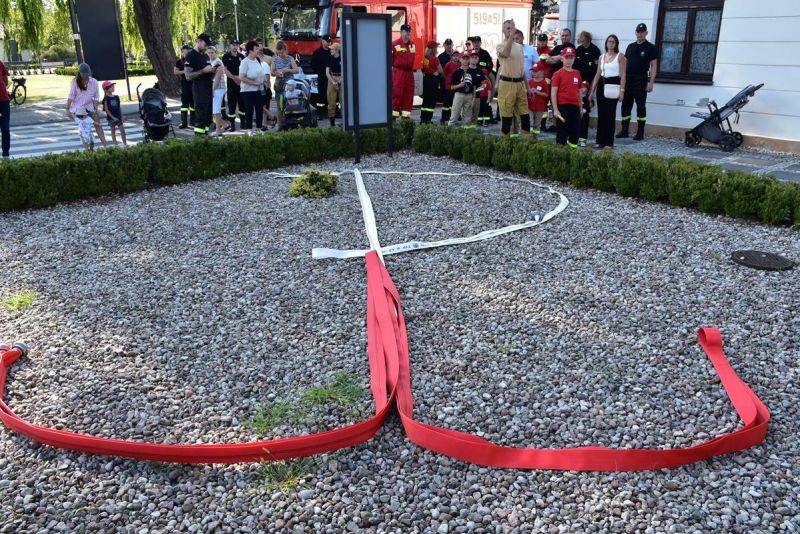 Litera P ułożona z węży