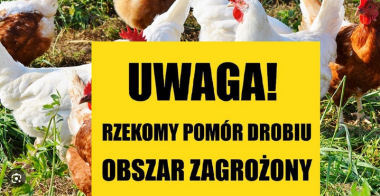 Uwaga rzekomy pomór drobiu